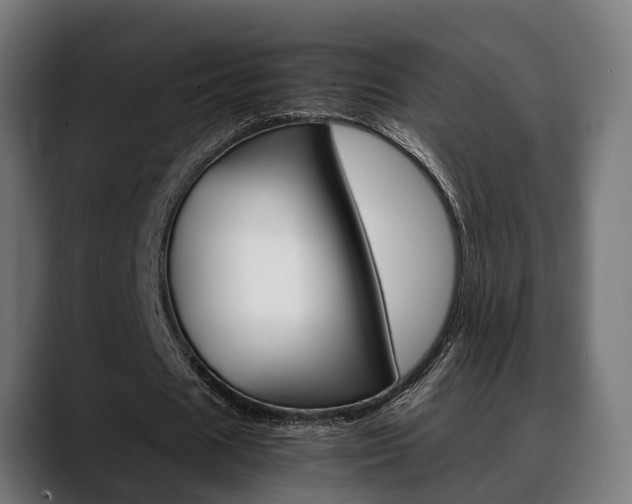 X0000088660625200705251002