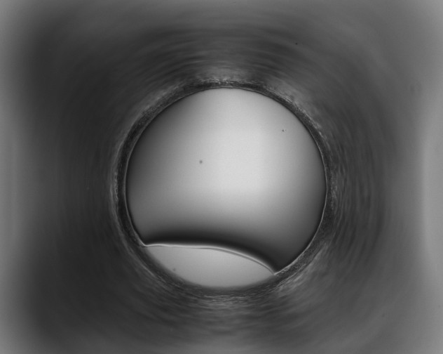 X0000088660629200705251002