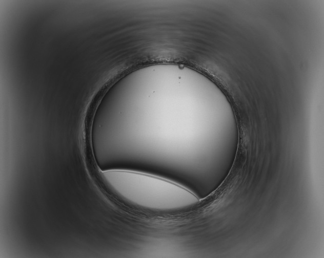X0000088660630200705251002