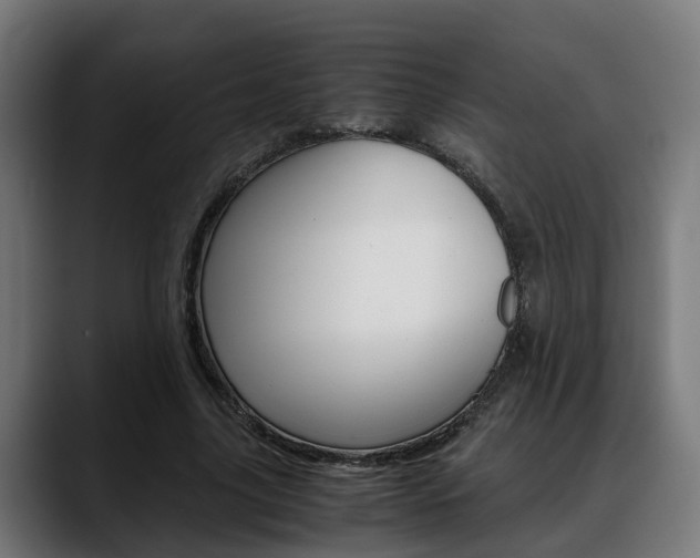 X0000088660635200705251003