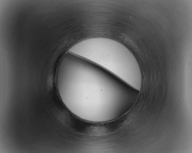 X0000088660644200705251003