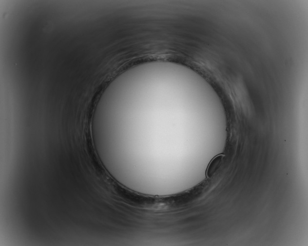 X0000088660647200705251003