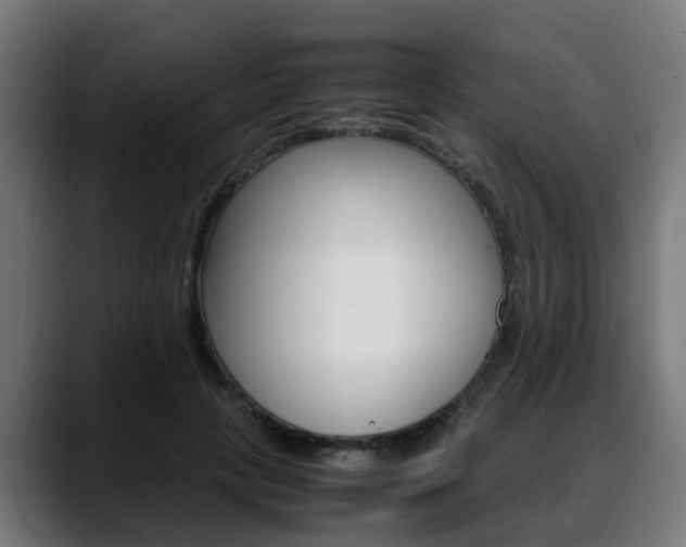 X0000088660649200705251003