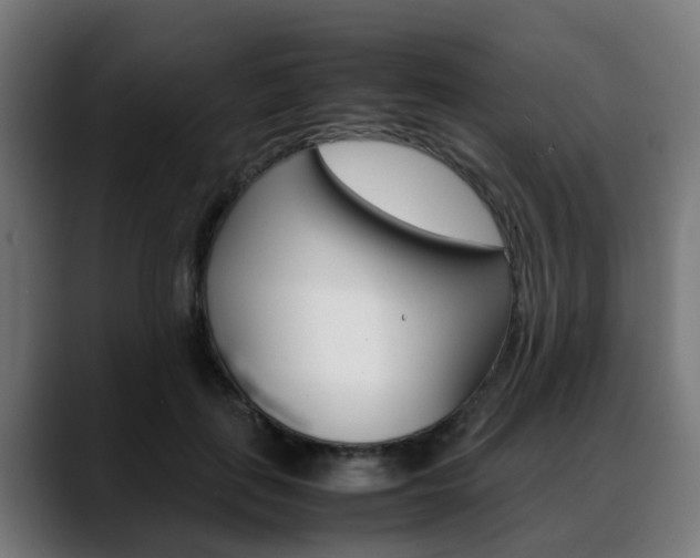 X0000088660651200705251003