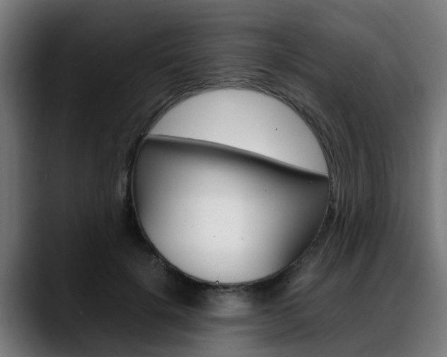 X0000088660652200705251003