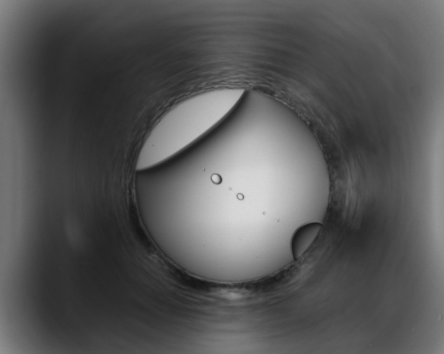 X0000088660654200705251003