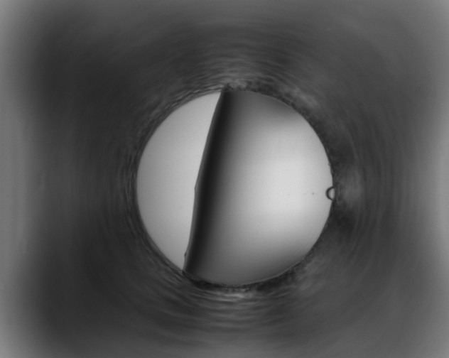 X0000088660661200705251003