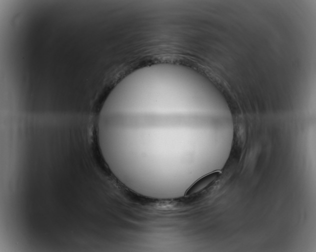 X0000088660668200705251003