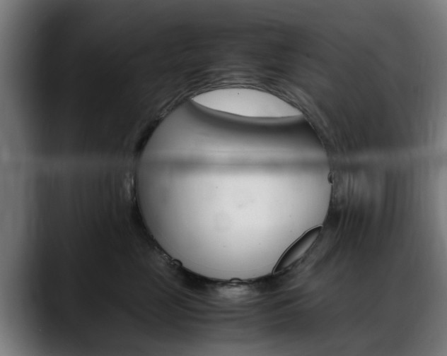 X0000088660669200705251003