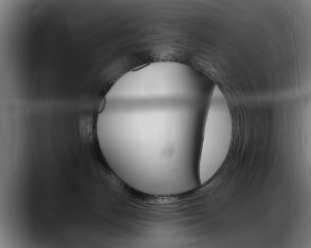 X0000088660670200705251003