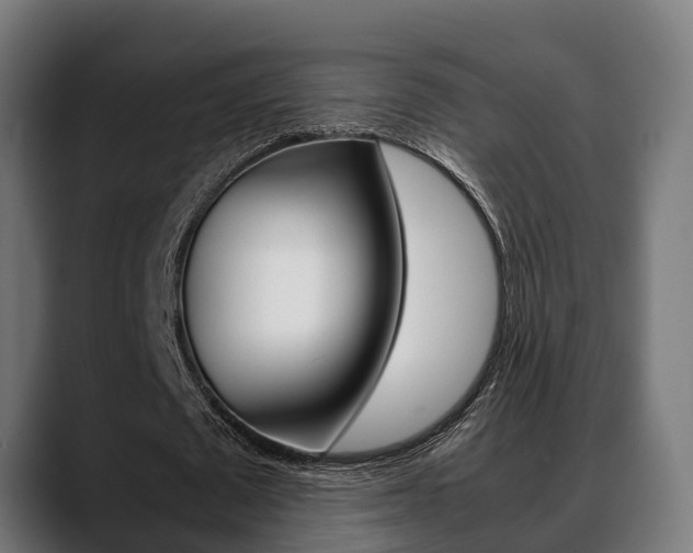 X0000088660673200705251002