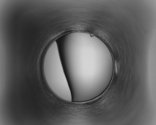 X0000088660675200705251002