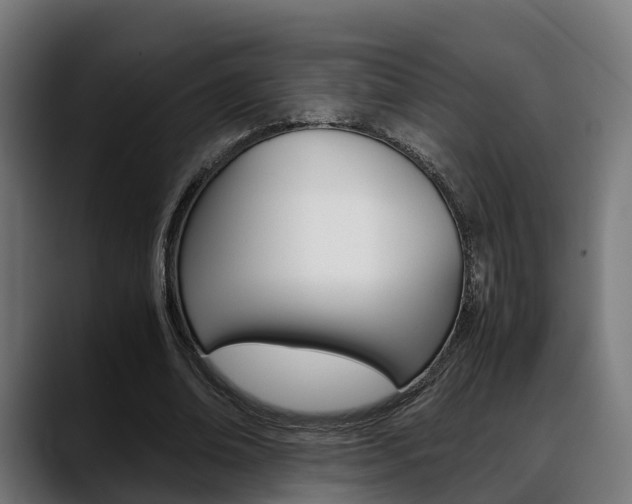 X0000088660678200705251002