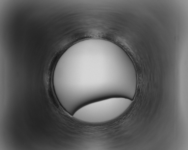 X0000088660679200705251002