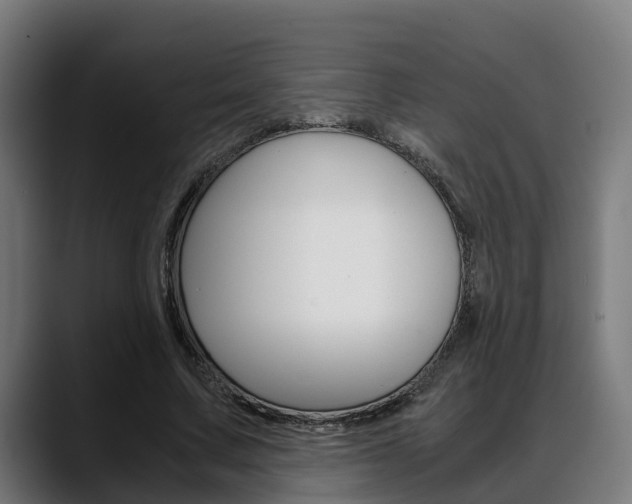 X0000088660683200705251002