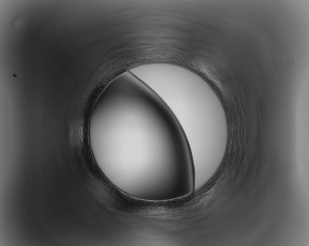 X0000088660685200705251002