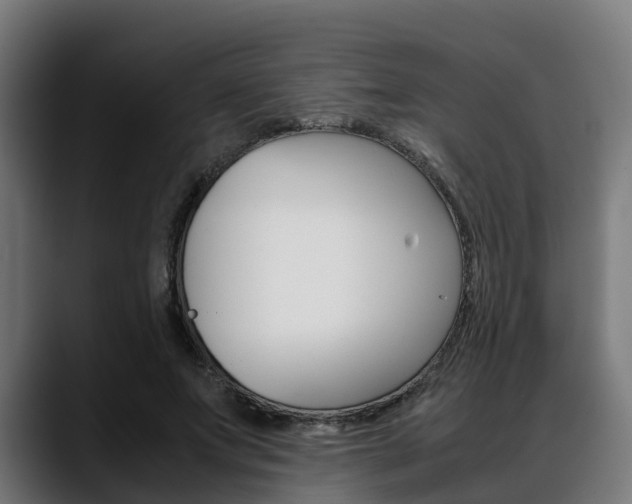 X0000088660687200705251002