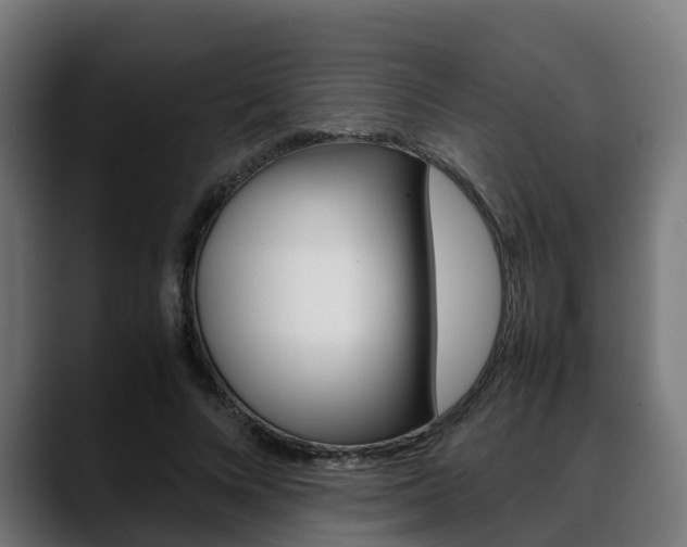 X0000088660688200705251002