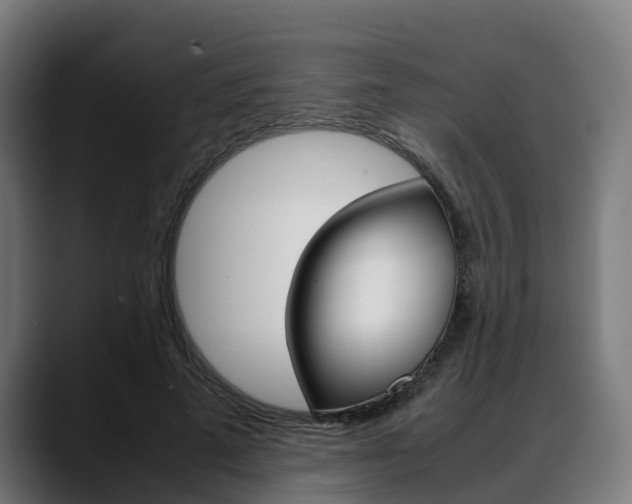 X0000088660689200705251002