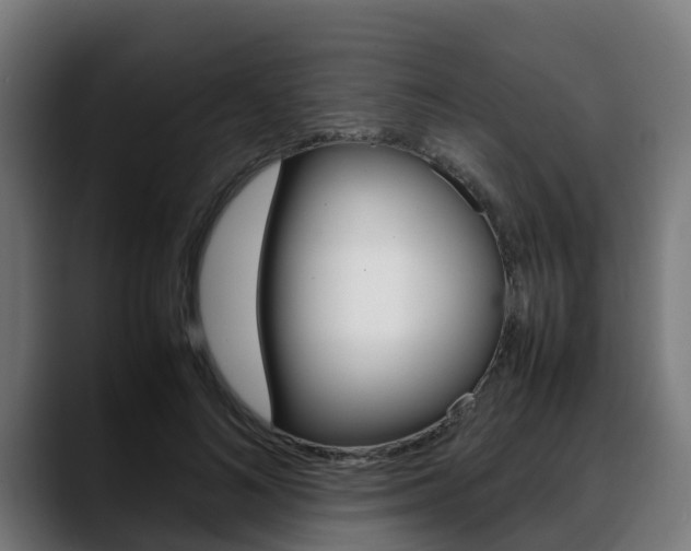 X0000088660692200705251002