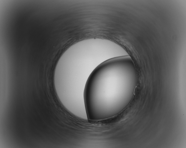 X0000088660693200705251002