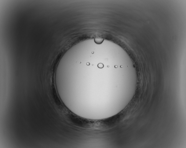 X0000088660695200705251002