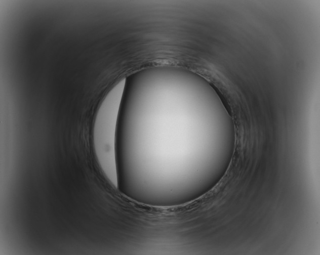 X0000088660696200705251002