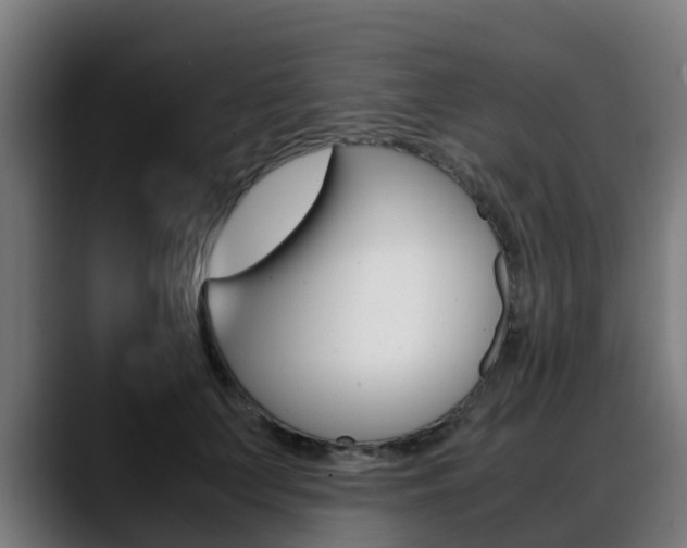 X0000088660703200705251002