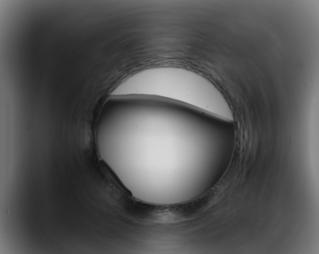 X0000088660704200705251002