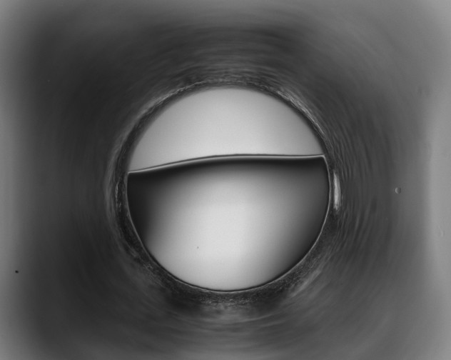 X0000088660723200705251001