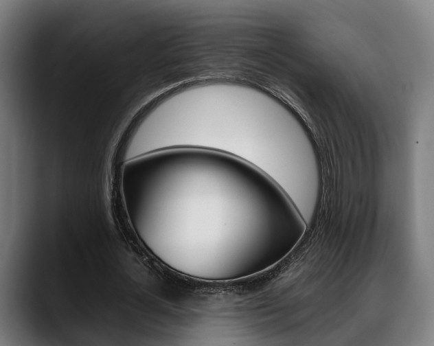 X0000088660724200705251001