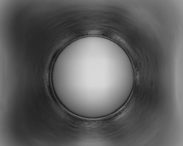 X0000088660725200705251001