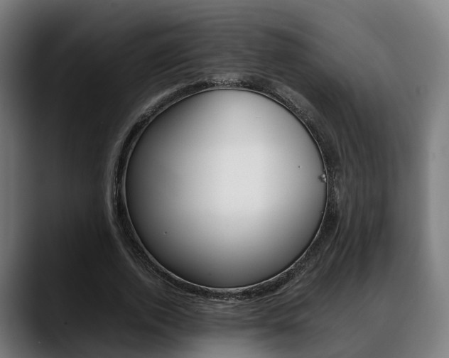 X0000088660728200705251001