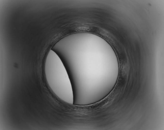 X0000088660729200705251001