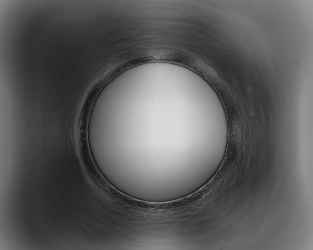 X0000088660730200705251001
