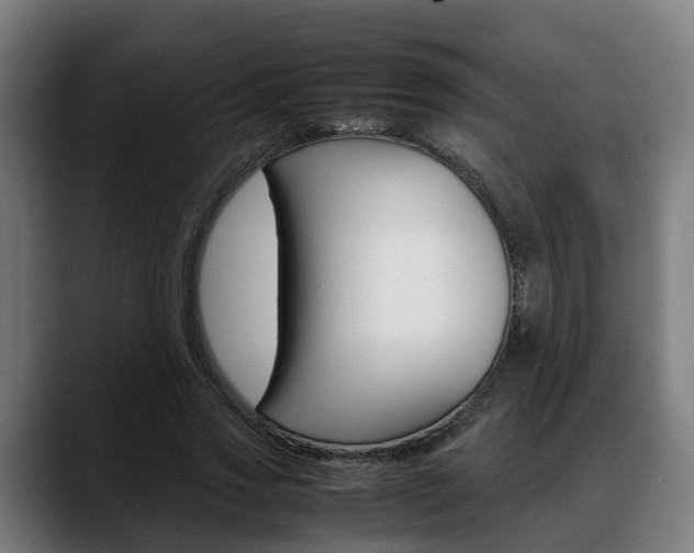 X0000088660733200705251001