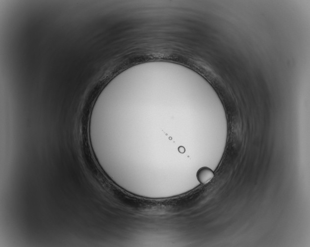 X0000088660734200705251001