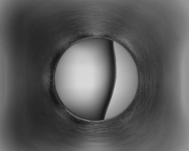 X0000088660736200705251001