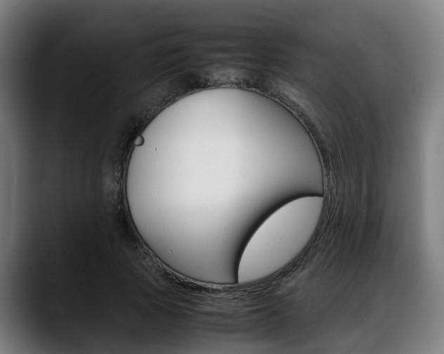 X0000088660737200705251001