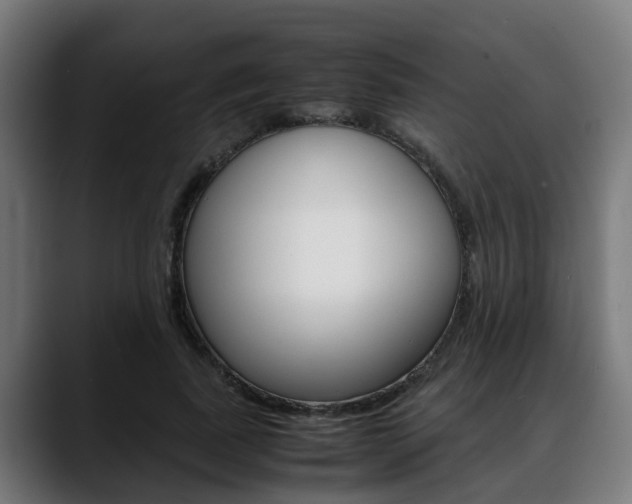 X0000088660739200705251001