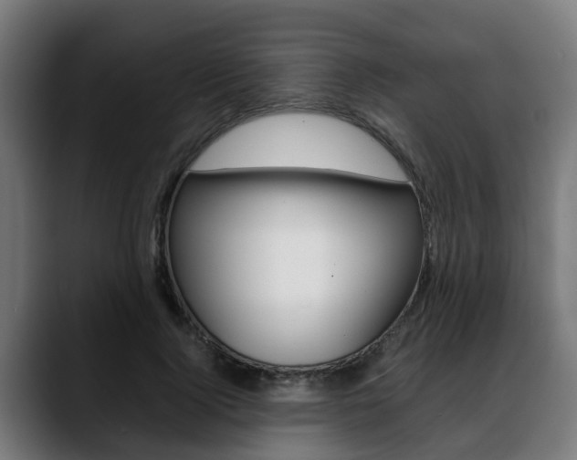 X0000088660740200705251001