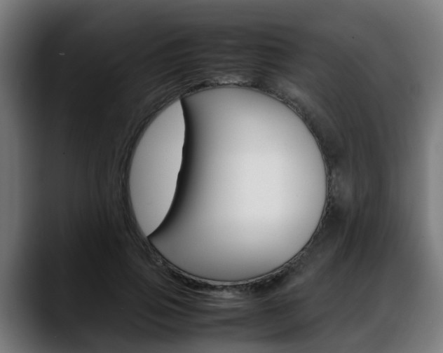 X0000088660741200705251001