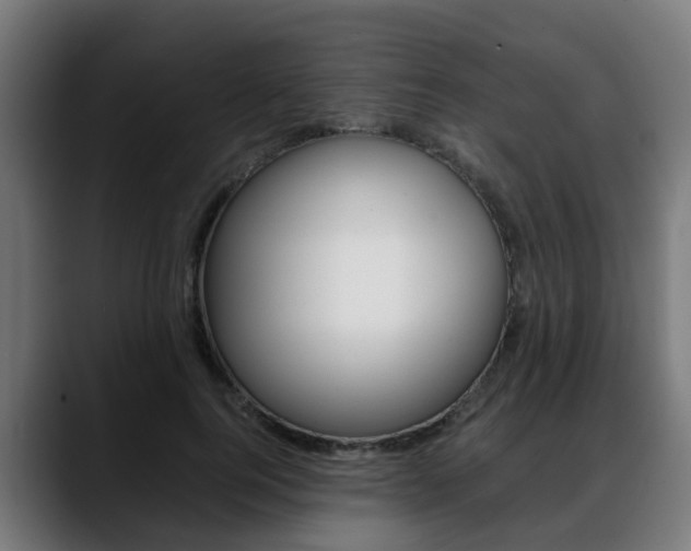 X0000088660744200705251001