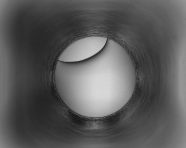 X0000088660745200705251001