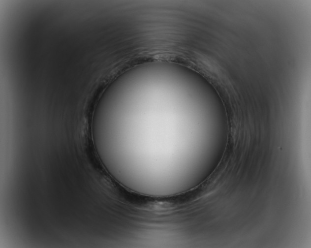 X0000088660748200705251002
