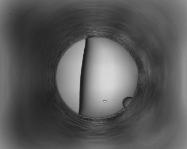 X0000088660749200705251002