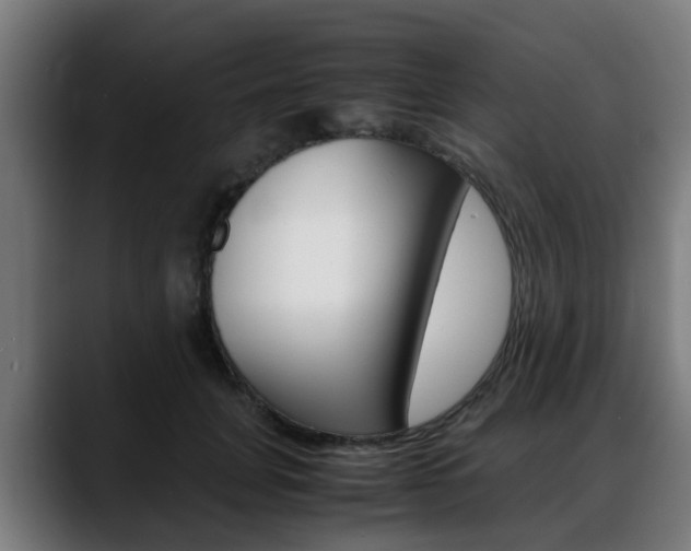 X0000088660751200705251002