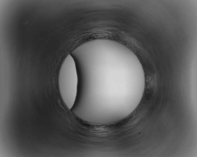 X0000088660753200705251002