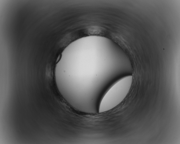 X0000088660763200705251002
