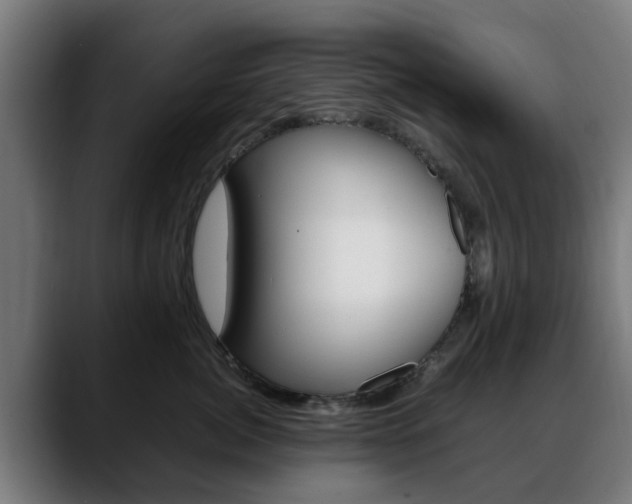 X0000088660764200705251002